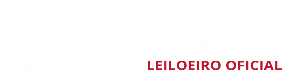 Rogério Menezes — Leiloeiro Oficial